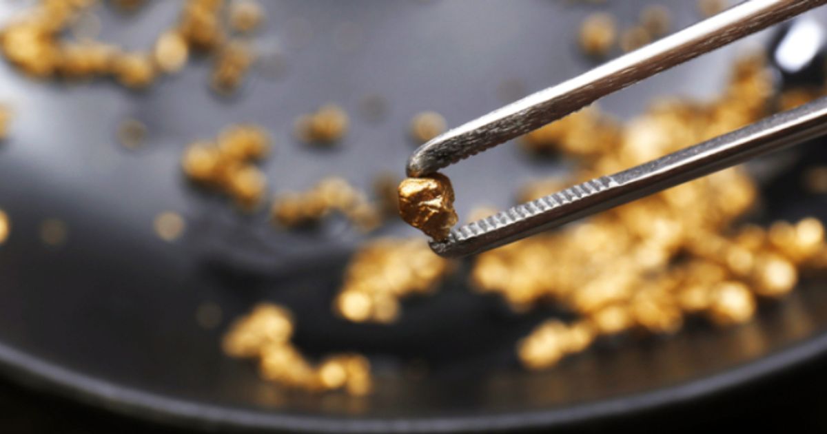 Great Boulder Resources Ltd hits more high-grade gold in maiden Ironbark RC program - Vimarsana News