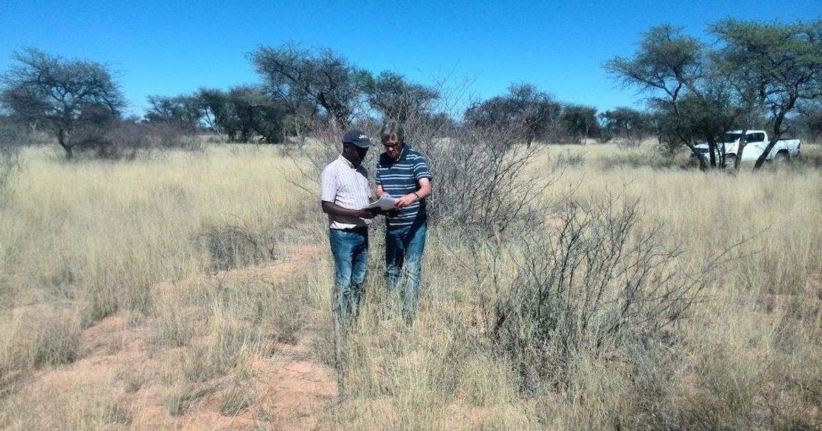 Kavango Resources PLC and Power Metal Resources PLC move on to next target at Ditau Camp project - Vimarsana News