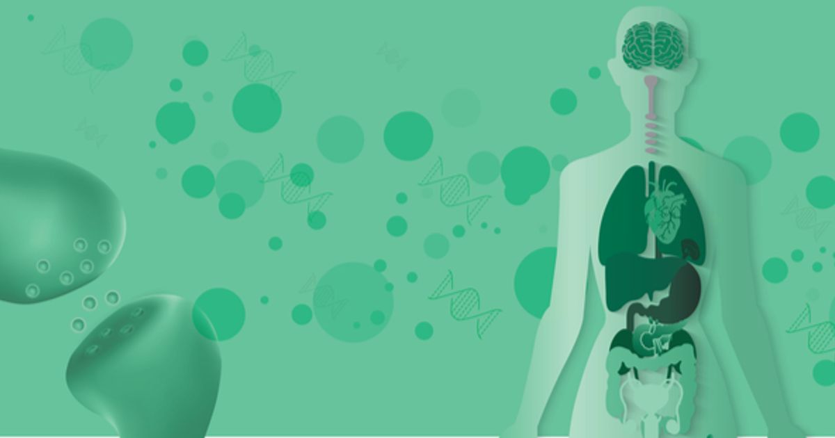 Cannabinoids combat brain cancer cells - Vimarsana News