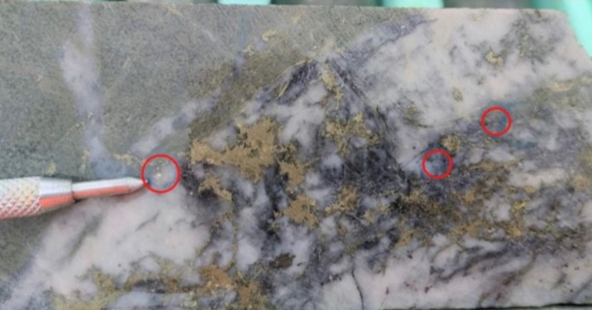 Flynn Gold Ltd soars on hitting 5.4 metres at 10.63 g/t gold in maiden diamond hole at Trafalgar prospect in Tasmania - Vimarsana News