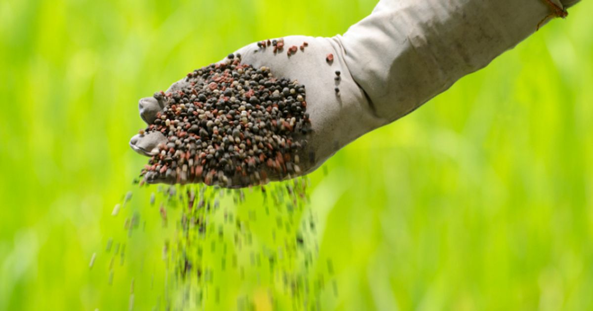 Harvest Minerals chairman says business is going great guns this year - Vimarsana News