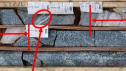 Tempus Resources Ltd - Tempus Resources fields more visible gold at Elizabeth Gold Project in