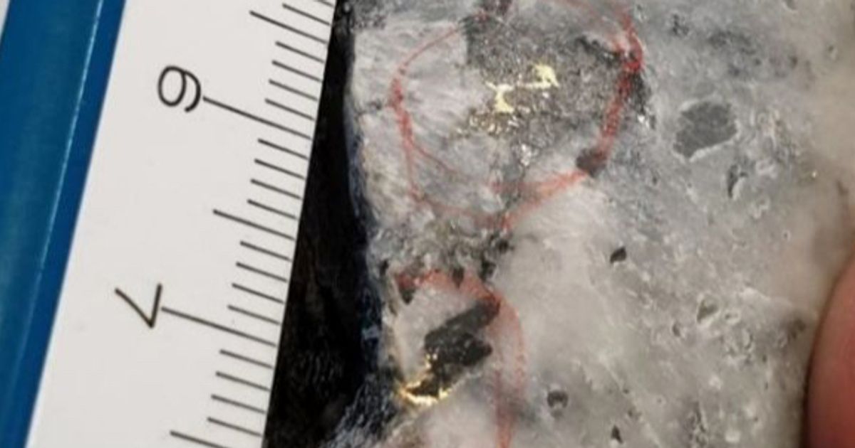 White Rock Minerals says 'eureka!' following 972 g/t gold hit - Vimarsana News