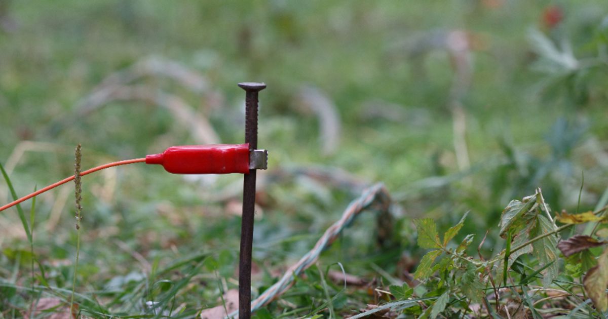 Armada Metals Ltd kicks off ground-based geophysical survey at Nyanga Project in Gabon - Vimarsana News