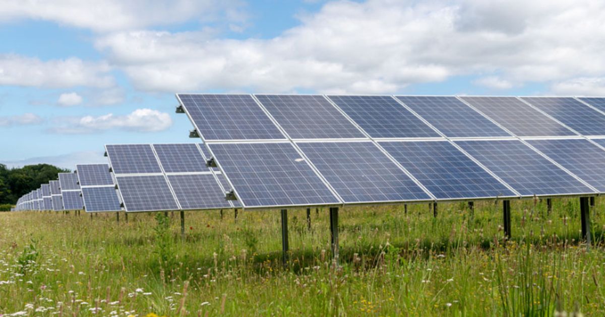 BP and Lightsource venture set to become the largest solar developer in ...