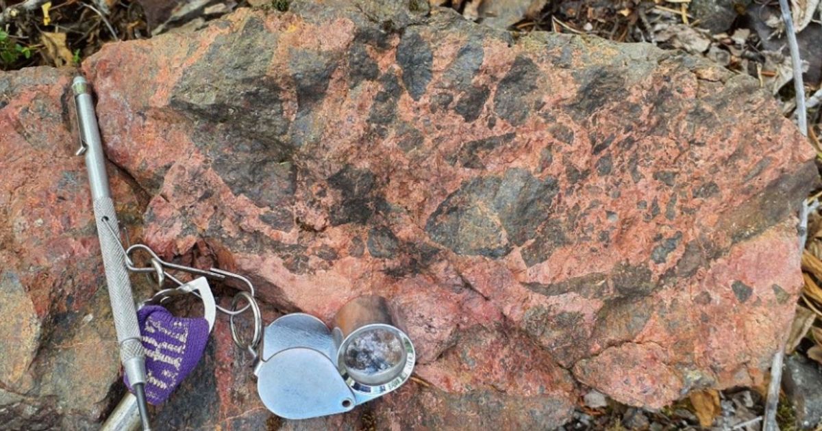Valor Resources Ltd shares climb after field program identifies uranium and copper at Surprise Creek Project - Vimarsana News
