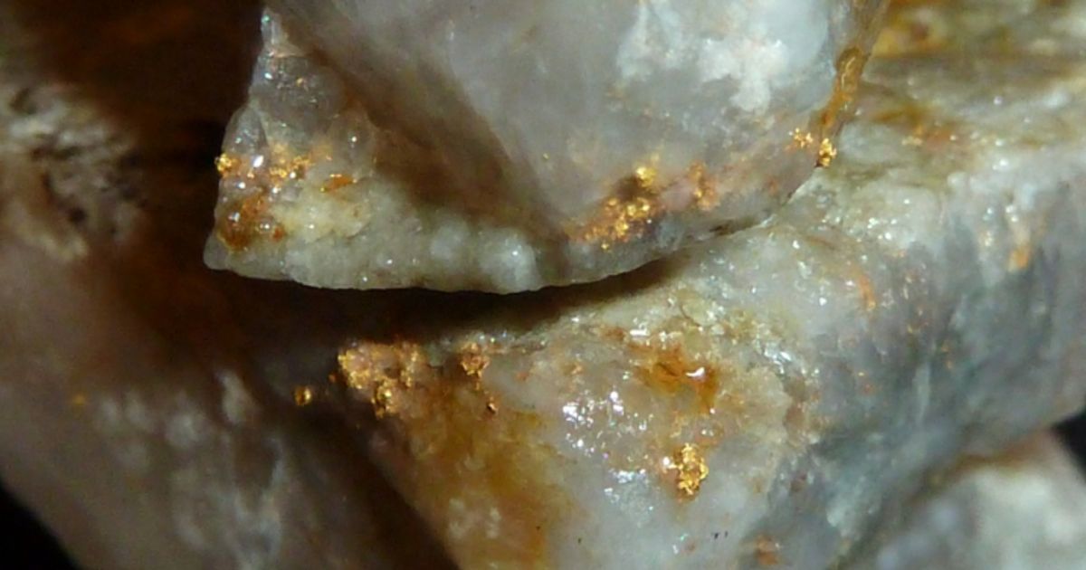 Mountain Boy Minerals Ltd updates on field work at its Telegraph project in British Columbia's Golden Triangle - Vimarsana News