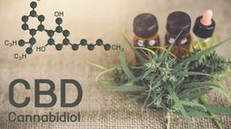 Creso Pharma Ltd - Creso Pharma launches into US CBD market with the acquisition Sierra Sage Herbs LLC 