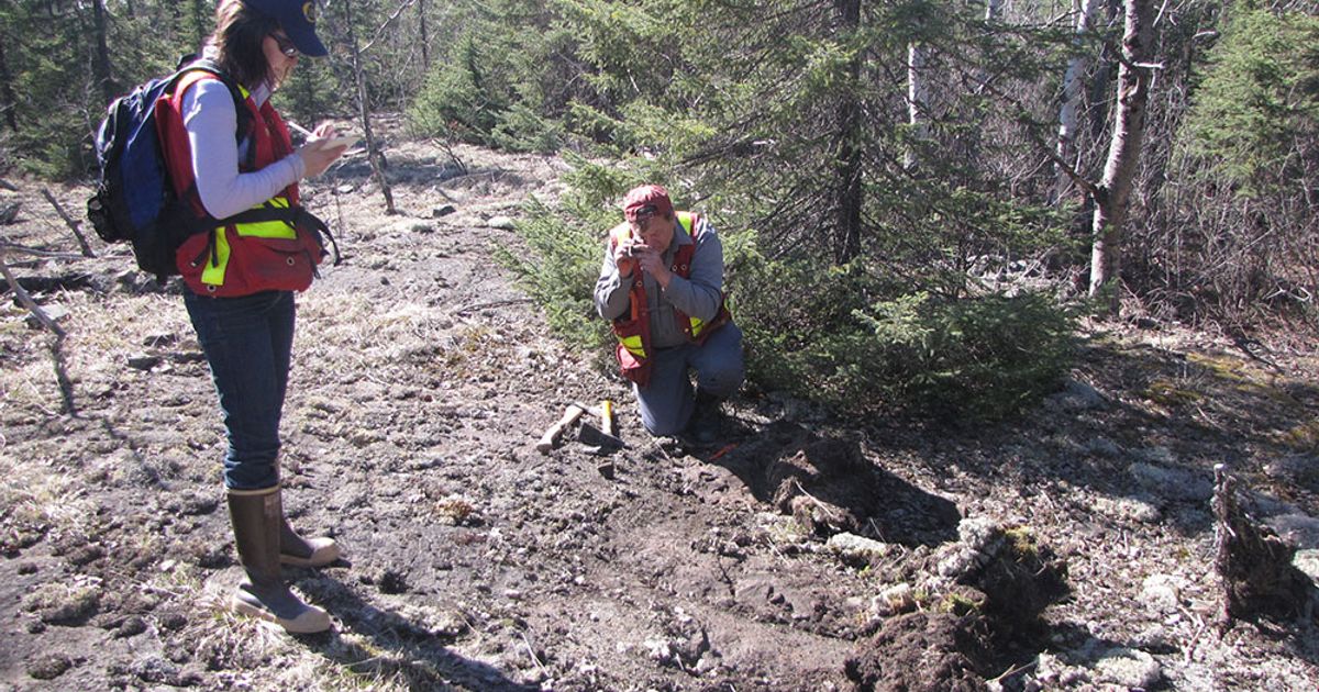 HighGold Mining Inc announces expansion of its Timmins regional land holdings, provides exploration update - Vimarsana News