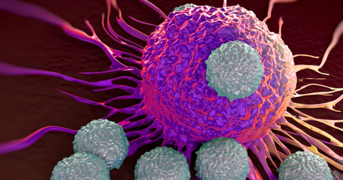 IN8bio progresses its novel approach to cancer therapy with gamma-delta T cell product candidates - Vimarsana News
