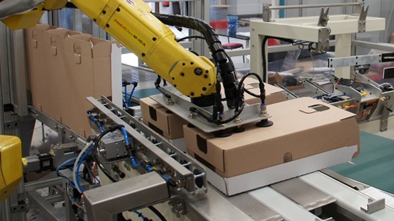 Rising wood prices and squeezed demand in focus for box maker DS Smith ...