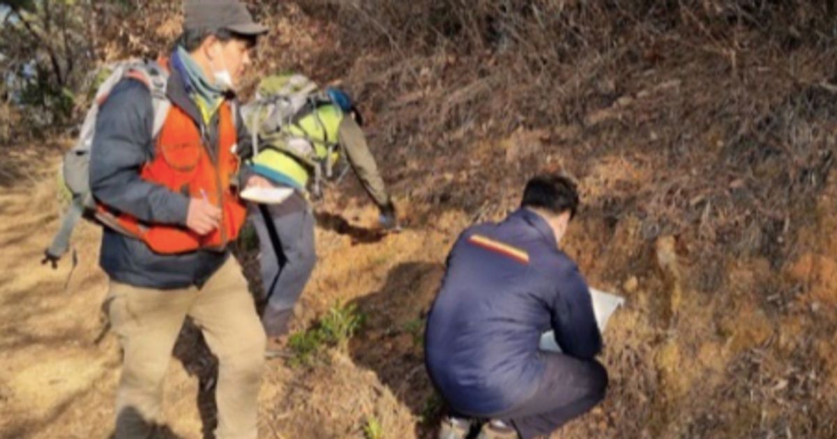 Southern Gold Ltd lodges 71 new licence applications in South Korea to build up 2023 exploration portfolio - Vimarsana News