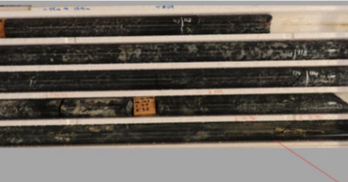 Australian Vanadium Ltd welcomes nickel-copper-PGE and visual gold results from Coates Project - Vimarsana News