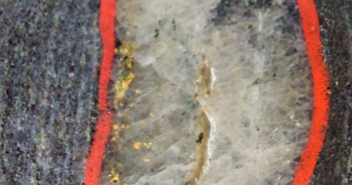 Tietto Minerals Ltd hits 195.53 g/t gold in step-out drilling at Abujar - Vimarsana News