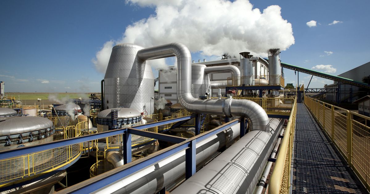 Malcy's Blog - Oil price, Union Jack, Angus, Scirocco, Coro, Echo. And finally… - Vimarsana News