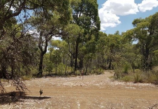Chalice Mining Ltd - Chalice Mining kicks off first ever exploration drilling at the Hartog Target within the Julimar State Forest