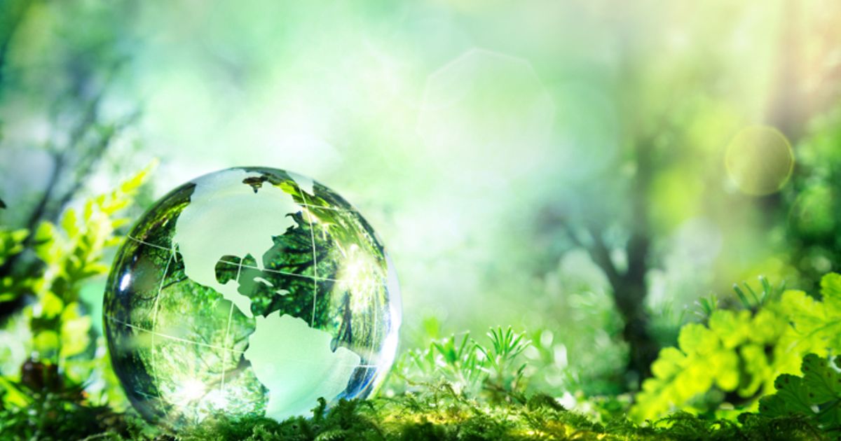 Aviva Investors to hold bosses accountable if investee companies fail to deliver on sustainability