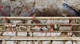 Tempus Resources Ltd - Tempus Resources intersects yet another bonanza grade hit at new blue vein discovery within flagship Elizabeth Gold Project