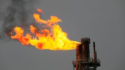 Calima Energy Ltd - Calima Energy eyes to ride on Leo #4 well&rsquo;s success for greater expansion at North Thorsby