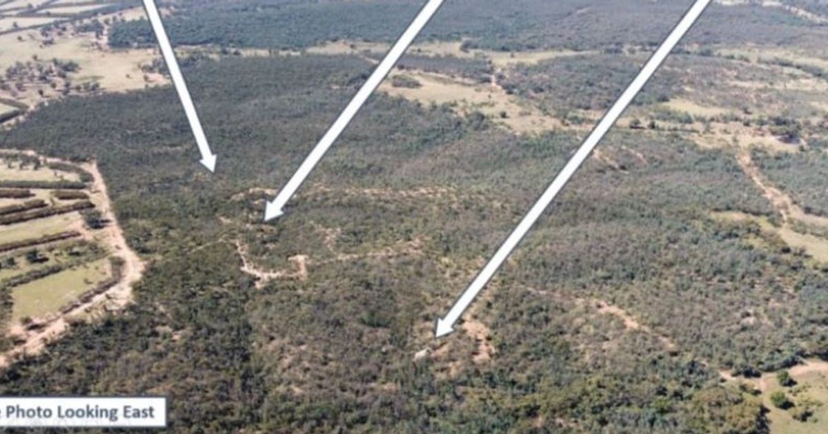 Australian Gold and Copper Ltd intercepts sulphides and quartz veining in Carlisle Reef exploration drilling at Moorefield Project - Vimarsana News