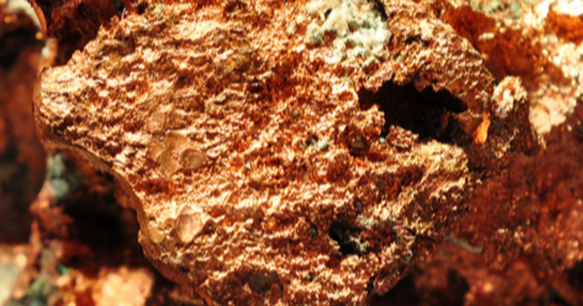 Australian Gold and Copper wraps up drill campaign at Carlisle Reefs gold target - Vimarsana News