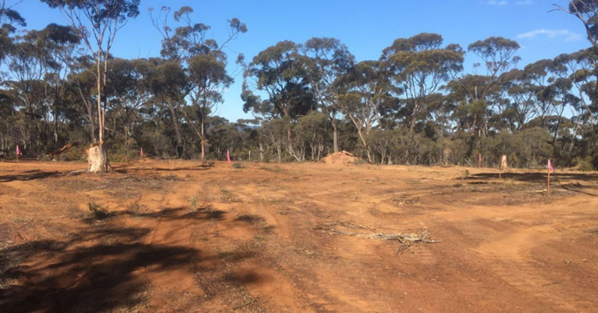 Galileo Mining Ltd defines high priority EM conductors at Norseman project in Western Australia - Vimarsana News