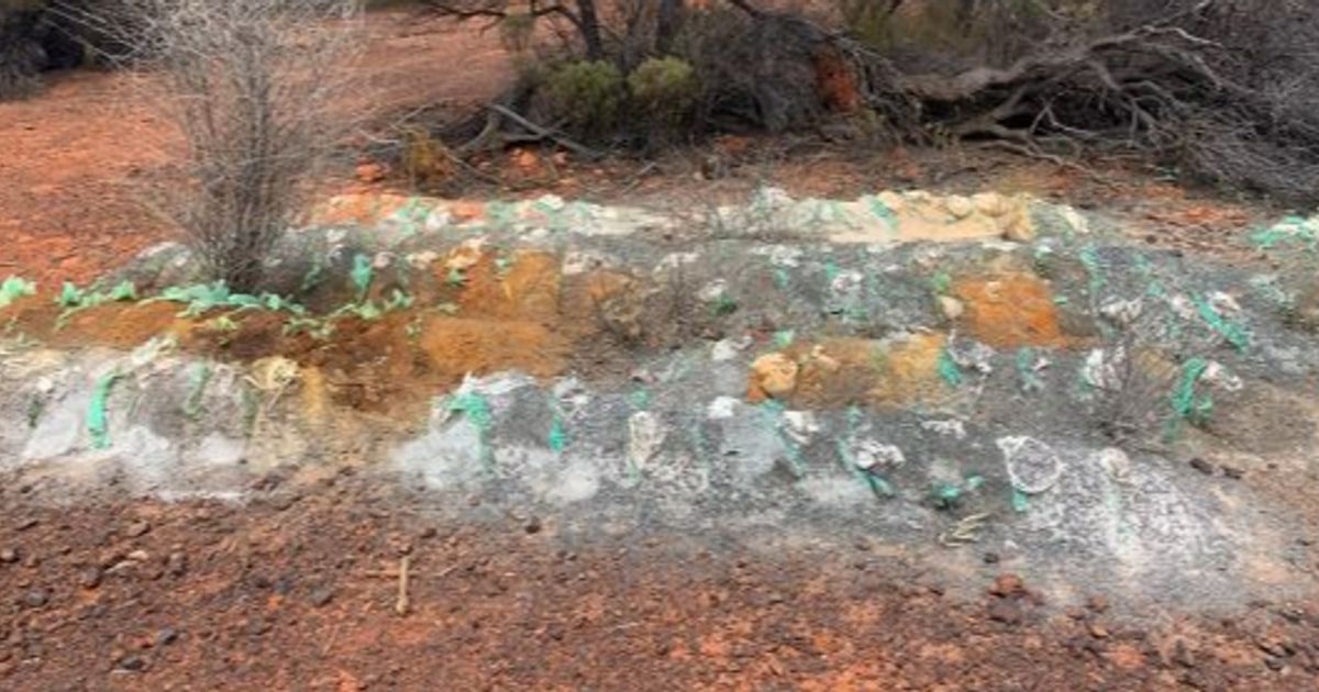 Azure Minerals Ltd moves to expand Barton Gold Project with four new tenements - Vimarsana News