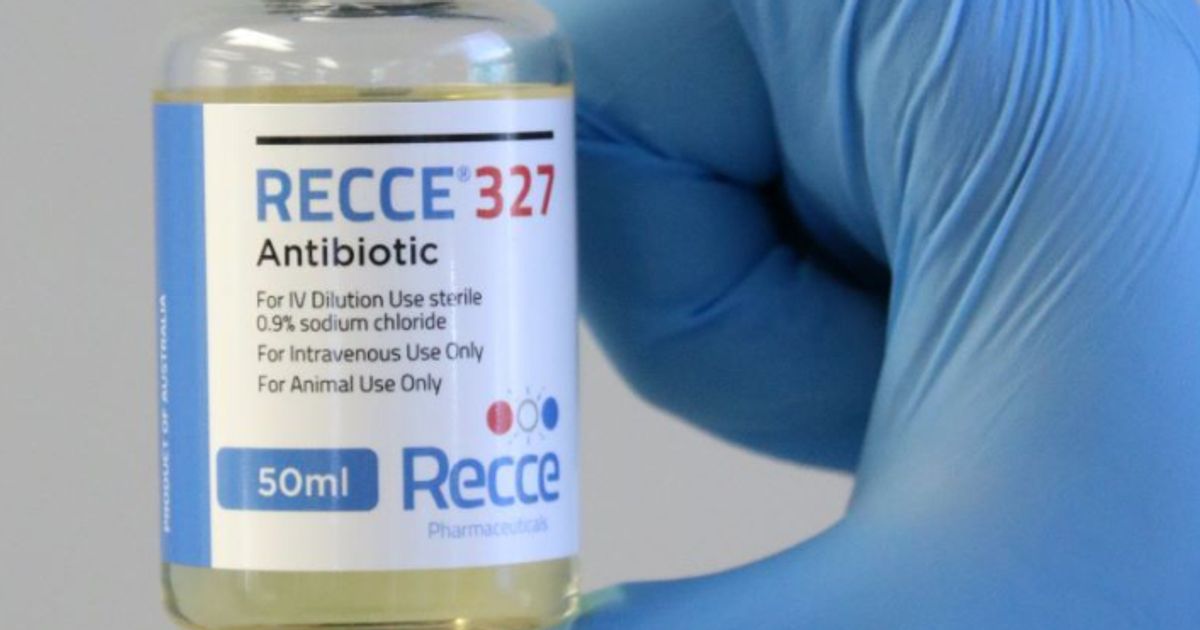Recce Pharmaceuticals sees safety committee clear next dose in Phase I ...