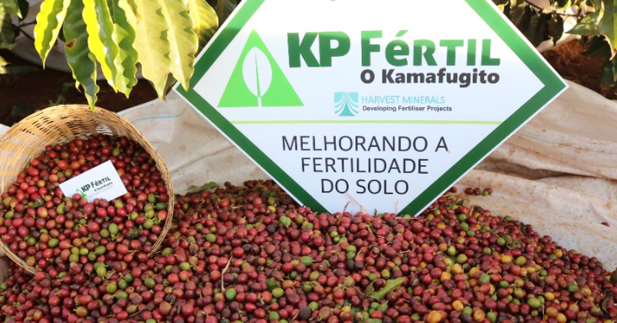 Harvest Minerals Ltd smashes fertiliser sales expectations for early 2022 - Vimarsana News
