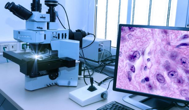 SourceBio International strengthens cellular pathology business with ...