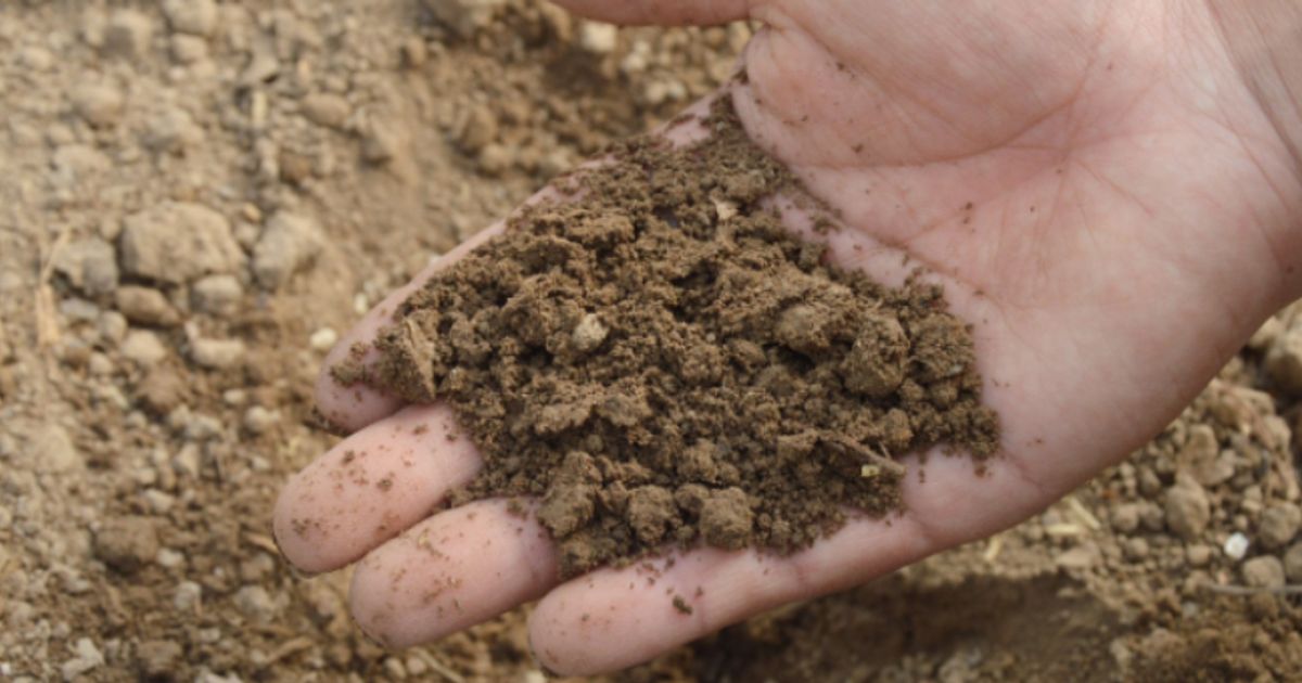 Harvest Minerals advance plans to accelerate production and storage capacity - Vimarsana News