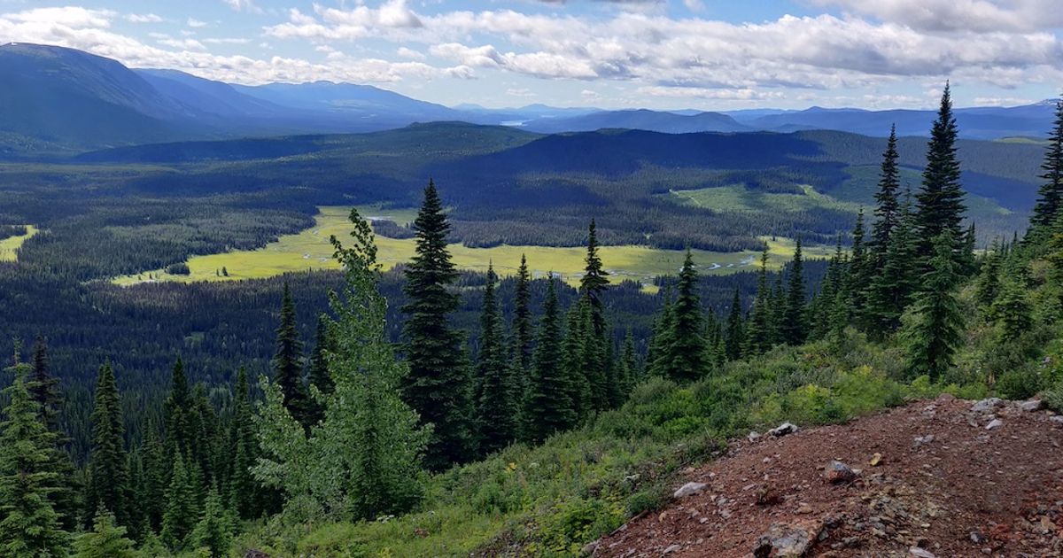 NorthWest Copper Corp appoints David Smith to its board of directors - Vimarsana News