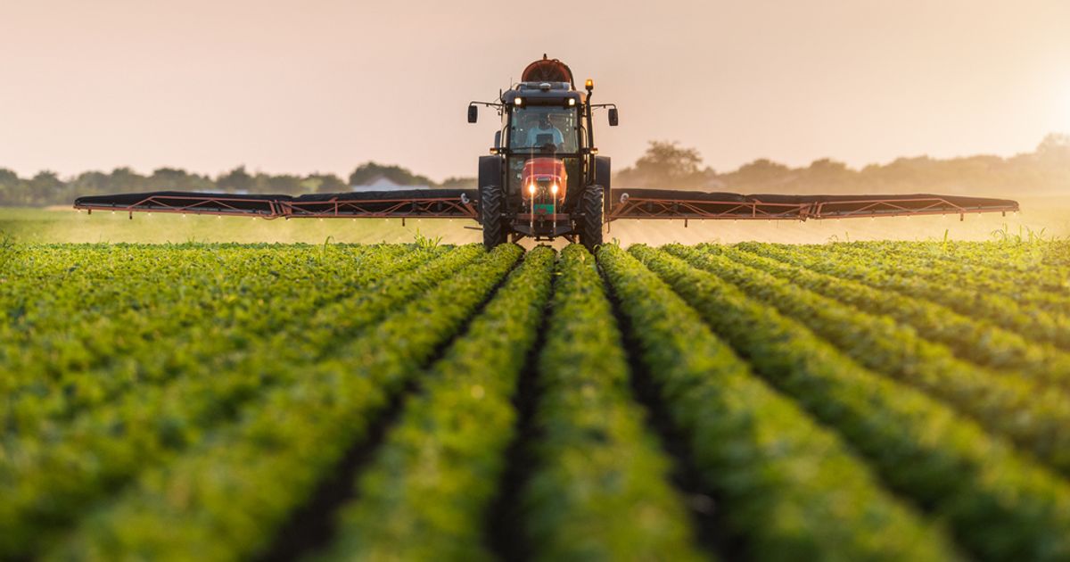 Harvest Minerals Ltd gets key Brazilian approval for use of KP Fértil as a fertilizer - Vimarsana News