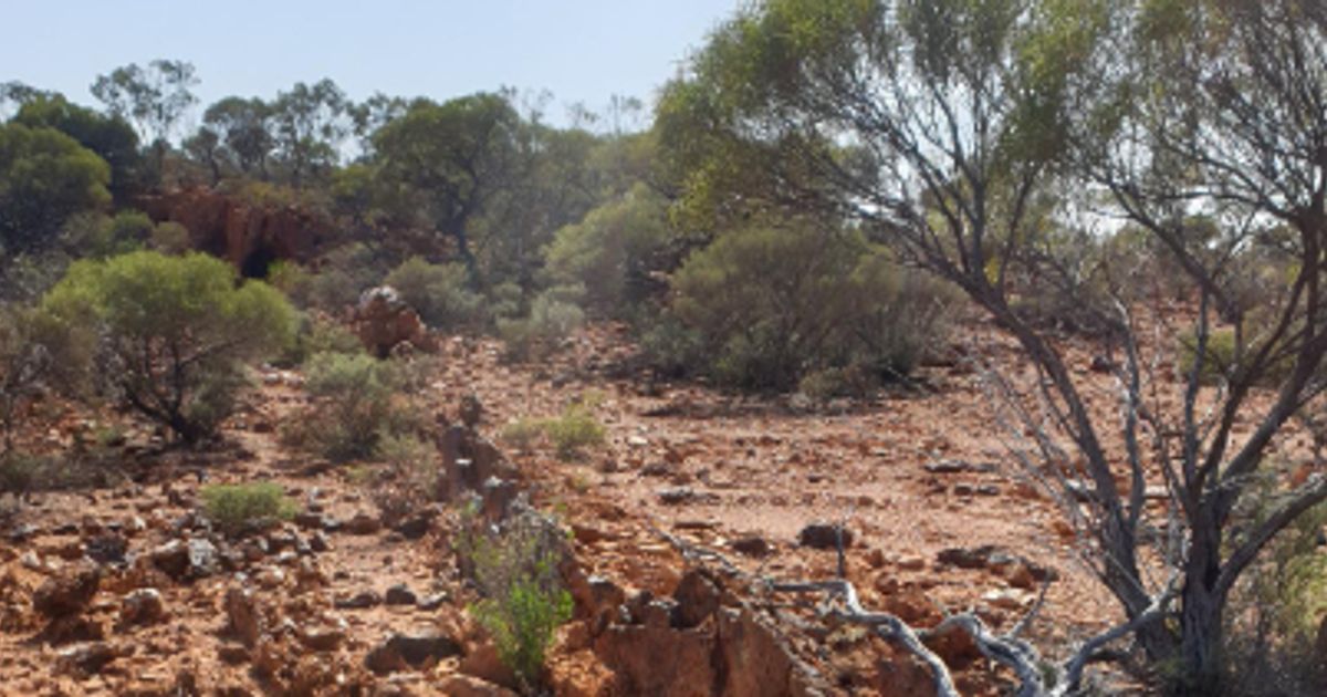 Aurumin Ltd begins mapping and ultrafine soil sampling across Greater Sandstone Project - Vimarsana News
