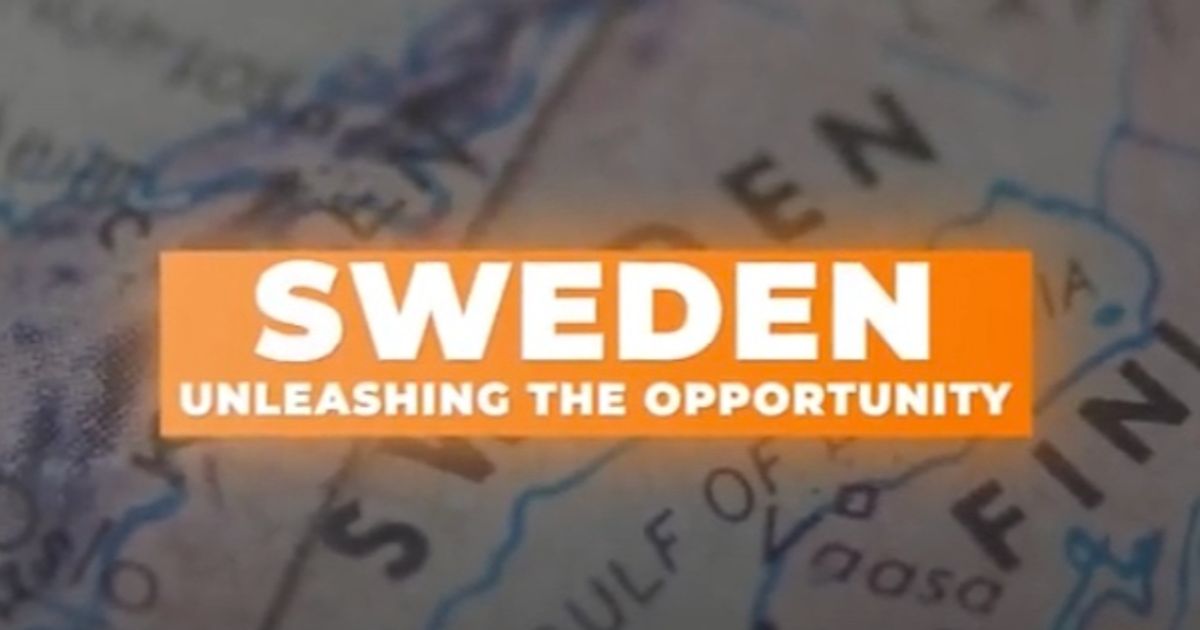 Alicanto Minerals Ltd hits visual sulphides in first hole at Greater Falun regional target - Vimarsana News