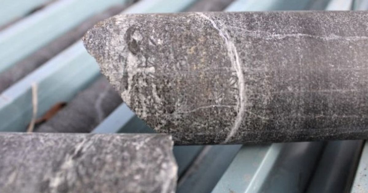 Future Metals NL shallow diamond drilling confirms sulphide system at Panton - Vimarsana News