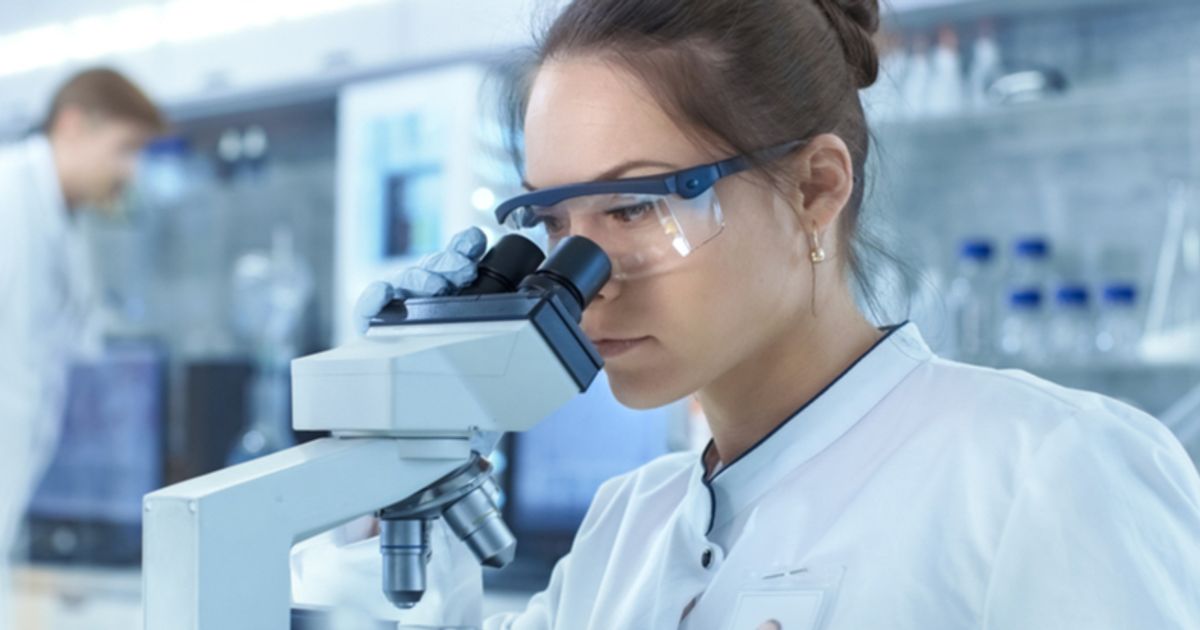 After unveiling the first full-scale lab-grown meat fillet, BSF Enterprise jumps