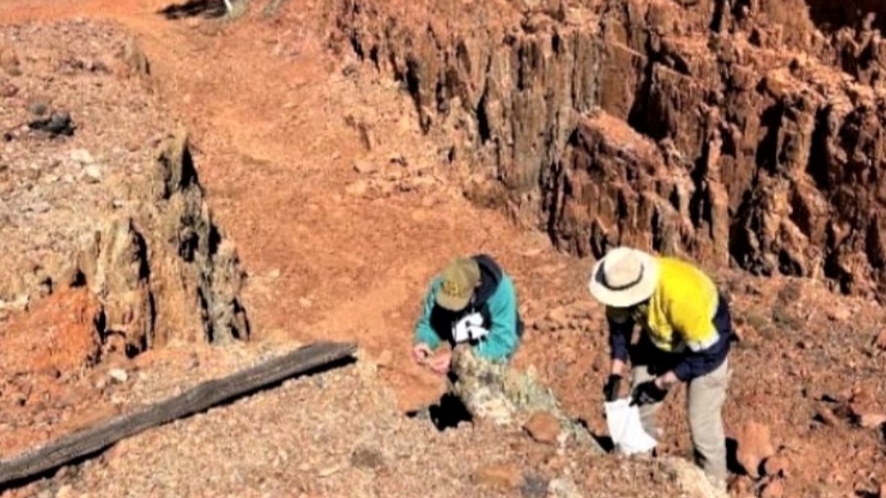 Cooper Metals delivers high-grade copper in rock chips from new Ardmore ...