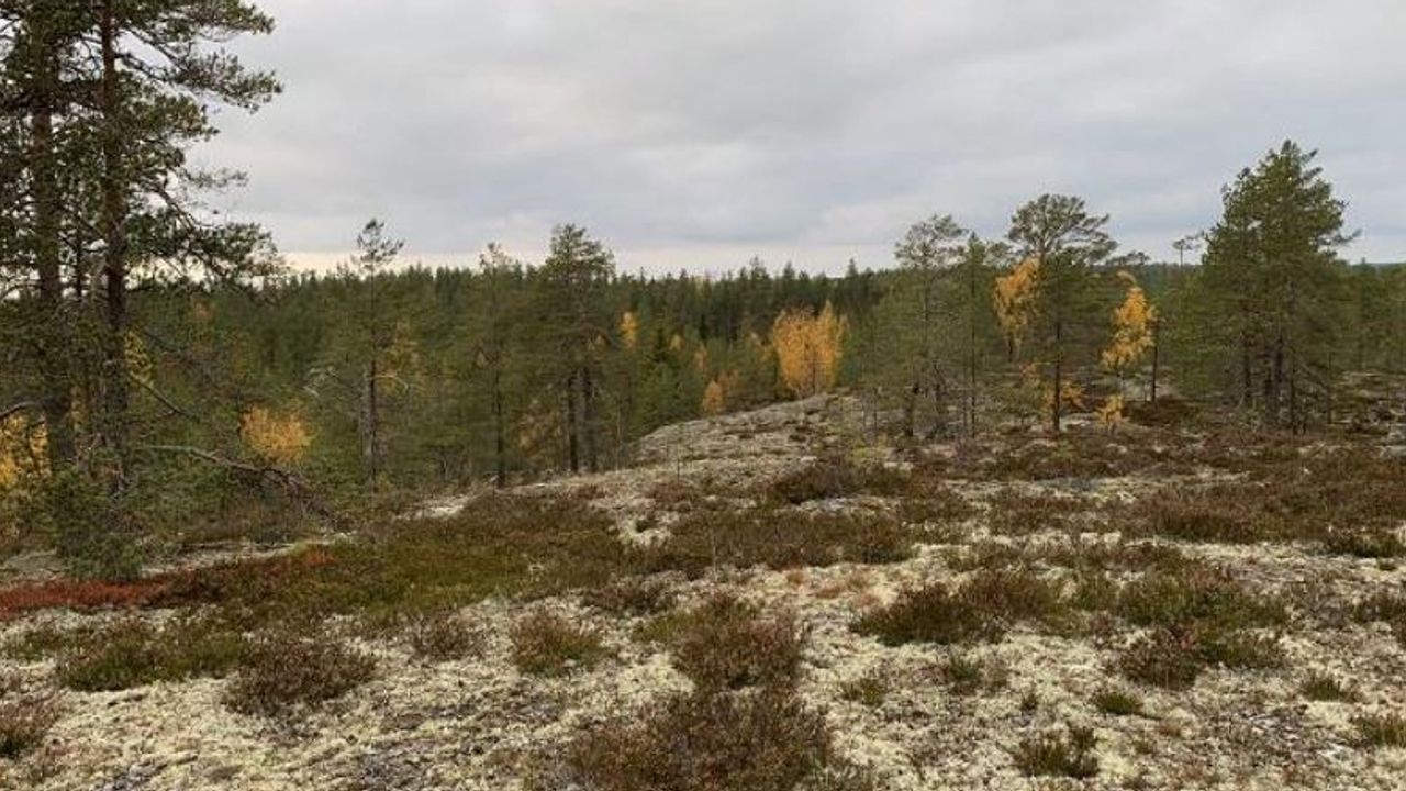Resource Mining Corporation acquires highly prospective nickel and ...