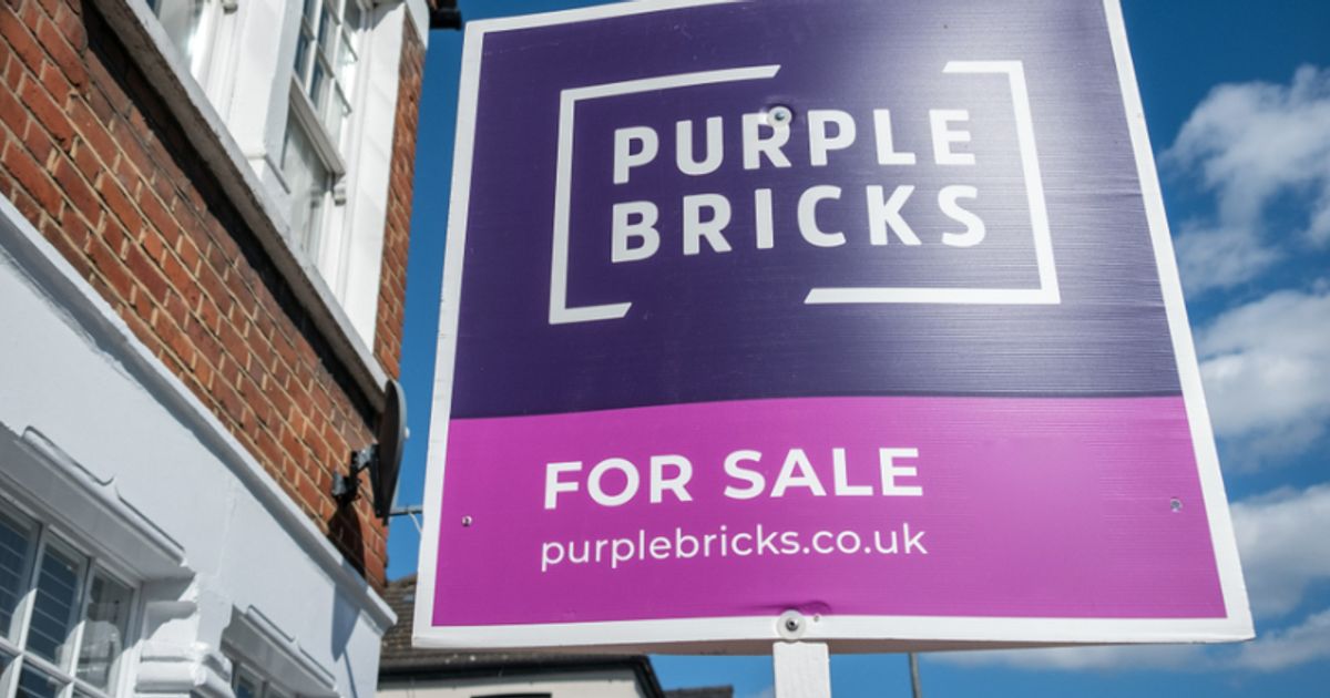Purplebricks activist Lecram calls for chair to go after years of 'poor