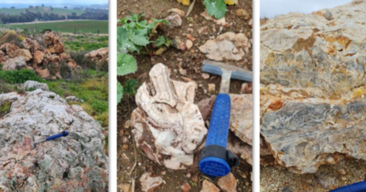 Legacy Minerals highgrade gold in rock chips from Bauloora