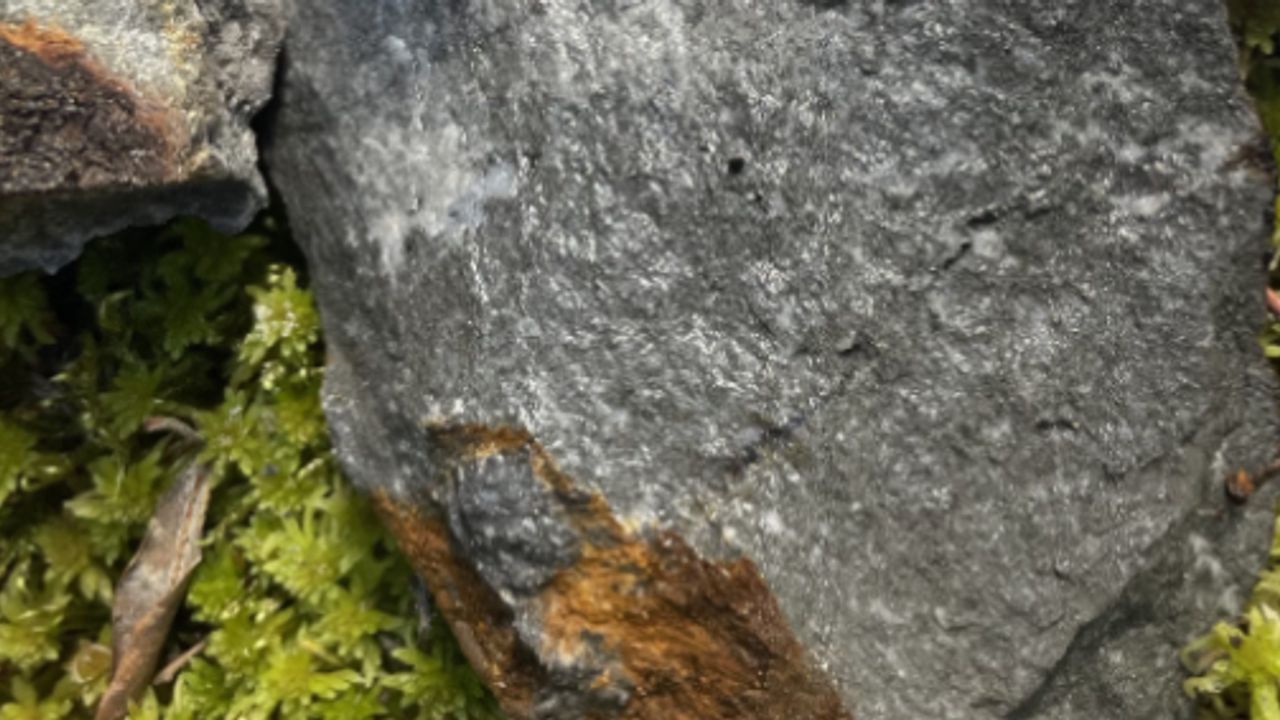 Renforth Resources raises $1.5 million in oversubscribed private ...