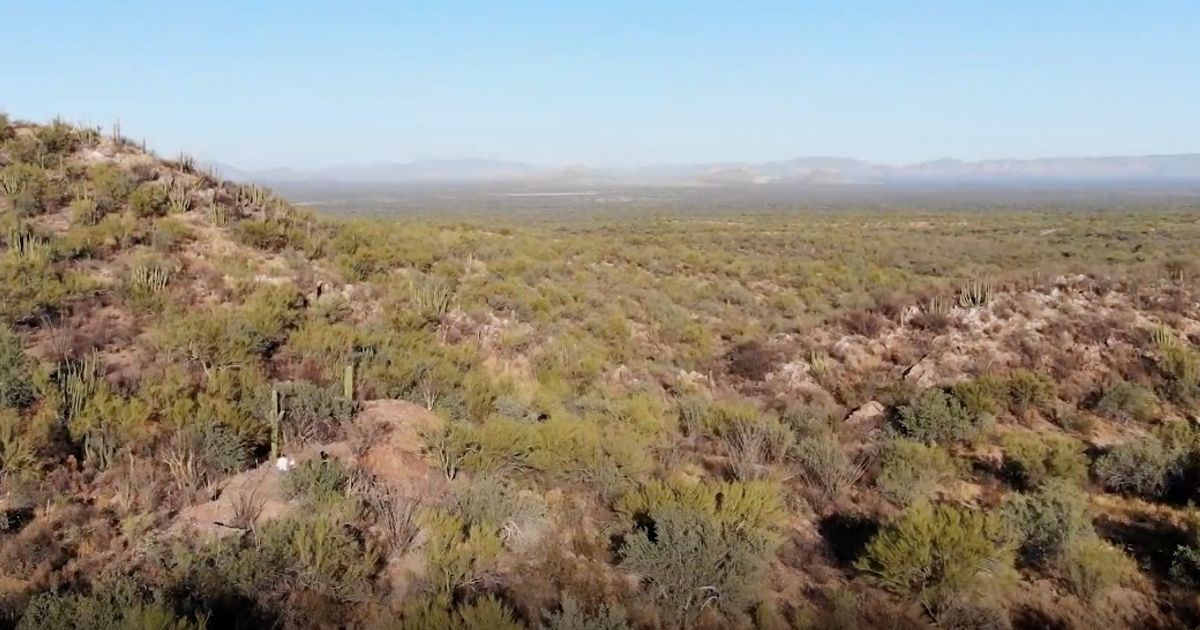 Tocvan Ventures Corp says compiled historic surface data at Jabali Prospect at El Picacho identifies high-grade gold values - Vimarsana News