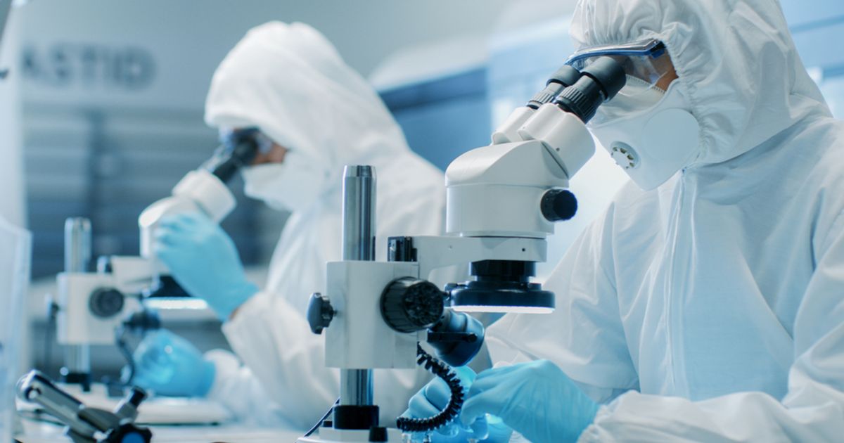 Lobe Sciences Ltd provides update on clinical development of its proprietary psilocin compound L-130 - Vimarsana News
