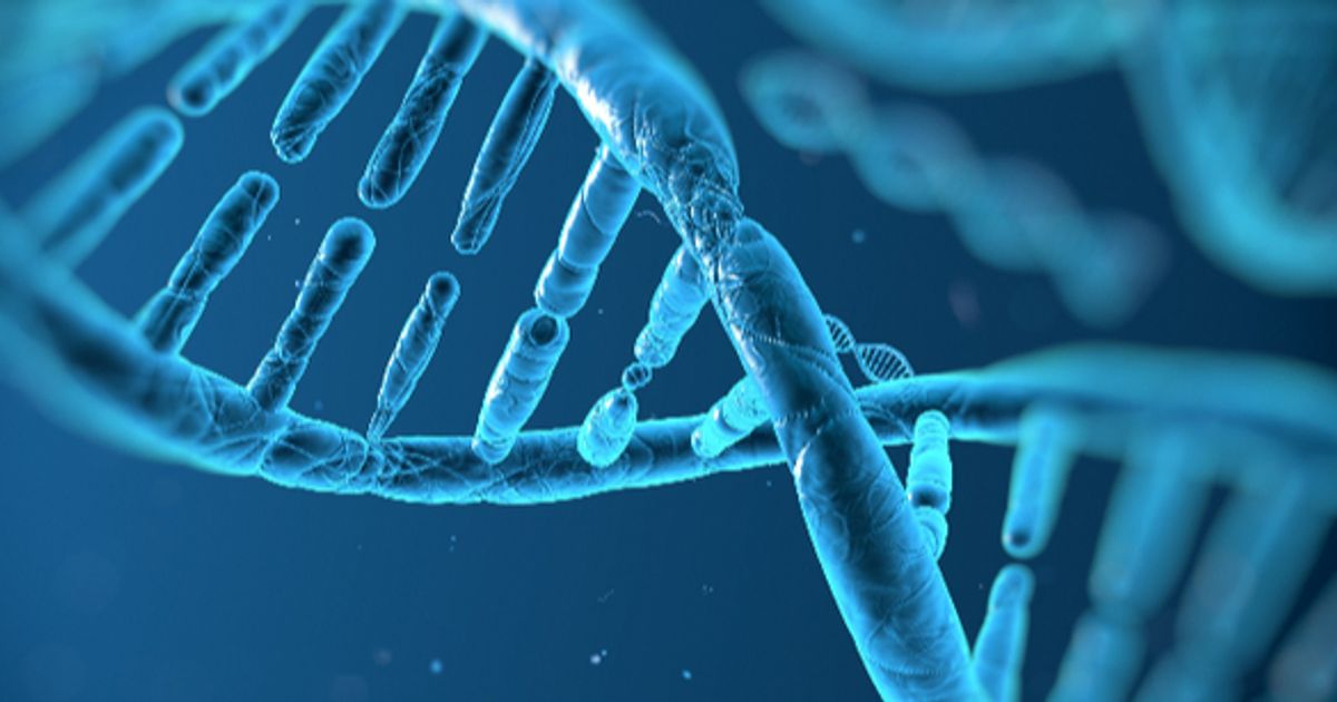 Proactive research analyst on Shield Therapeutics - Vimarsana News