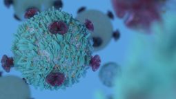 Imugene Ltd - Imugene doses first patient in VAXINIA IV cohort 2 trials 
