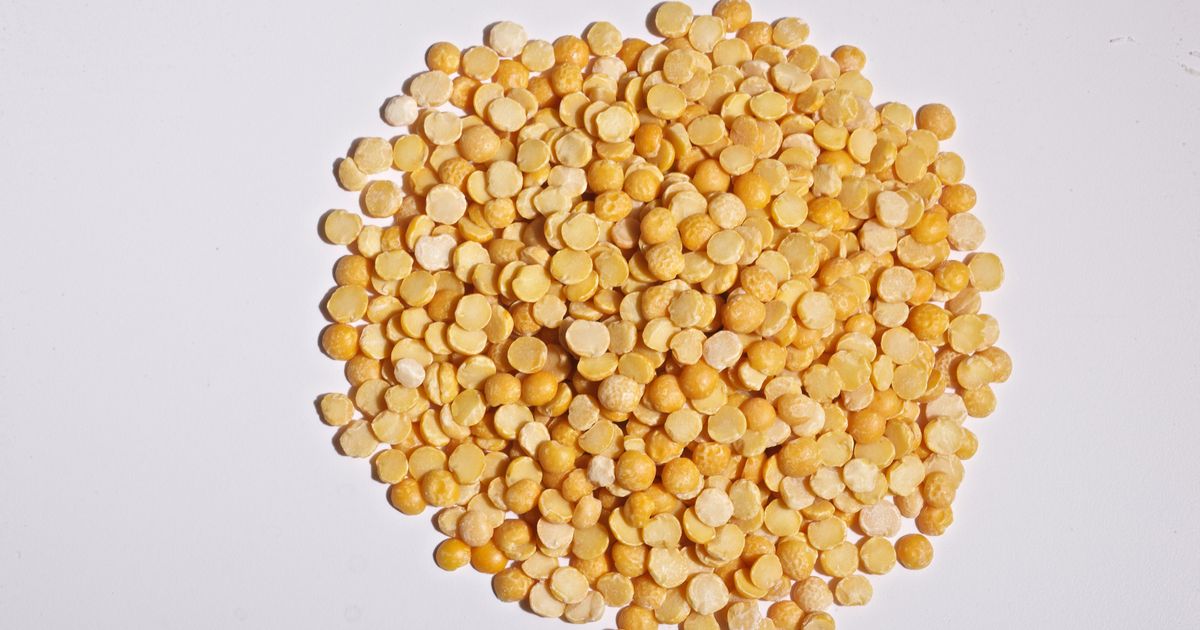 Burcon NutraScience Corp joint venture Merit Functional Foods Corporation launches new organic pea protein - Vimarsana News