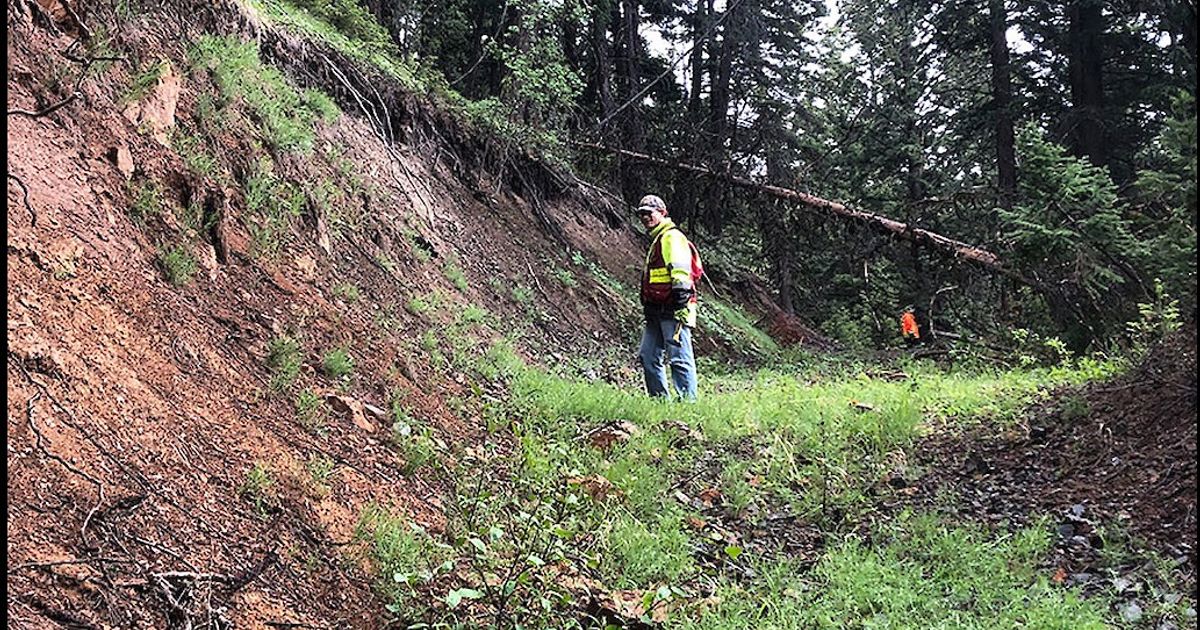 Kodiak discovers new gold-silver 'Beyer Zone' at MPD project in British Columbia - Vimarsana News