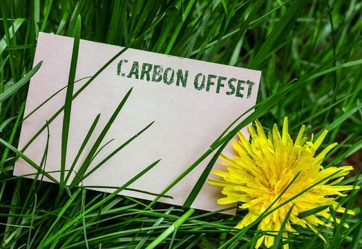 Carbon Streaming looks to aid the planet providing financing to carbon credit projects
