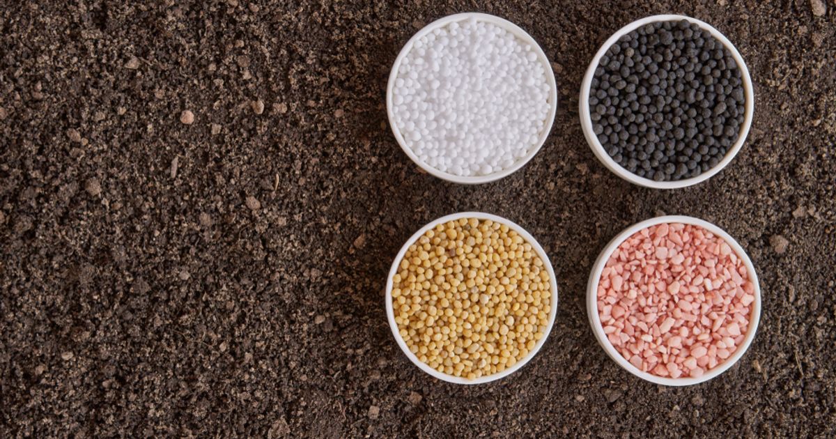 Highfield Resources Ltd raises $13 million to progress Muga Potash Project - Vimarsana News